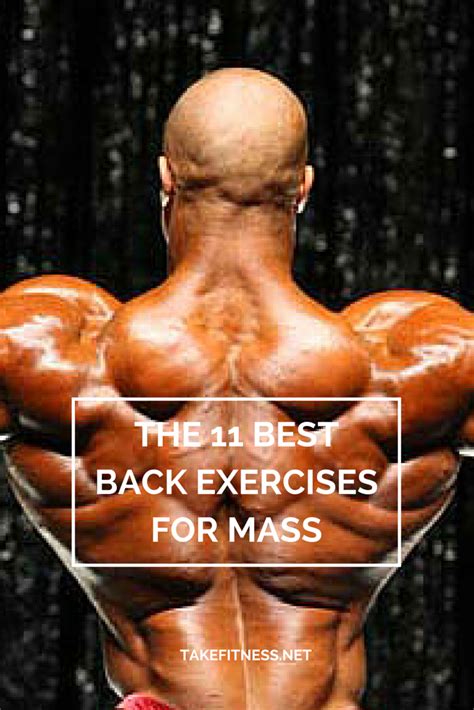 The 11 Best Back Exercises For Mass Good Back Workouts Back