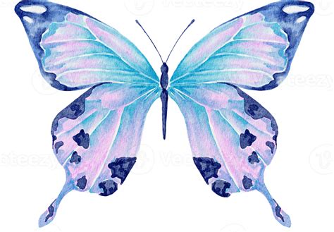 Aquarela Borboleta Azul Png