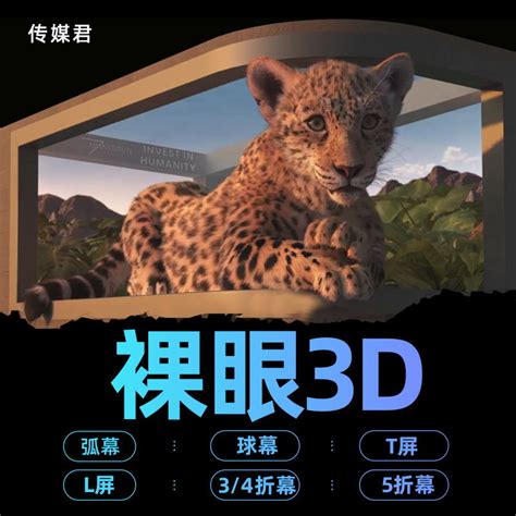 裸眼3d动画制作vr制作特效制作三维视频mg动画沙盘动画视频制作虎窝淘