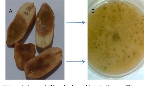 Figure 1 From In Vitro And Molecular Docking Evaluation Of Target