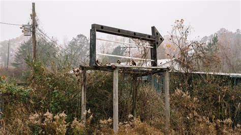 Opinion | Would Human Extinction Be a Tragedy? - The New York Times