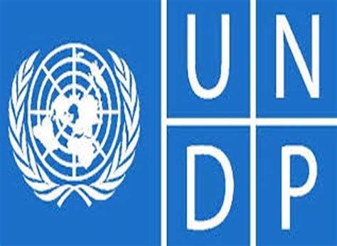 UNDP flags Guyana for its over reliance on custodial sentencing | Guyana Standard