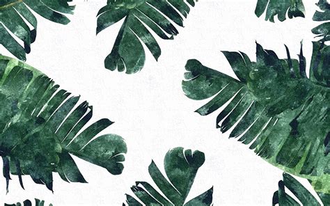 Download Banana Leaves Water Color Art Wallpaper