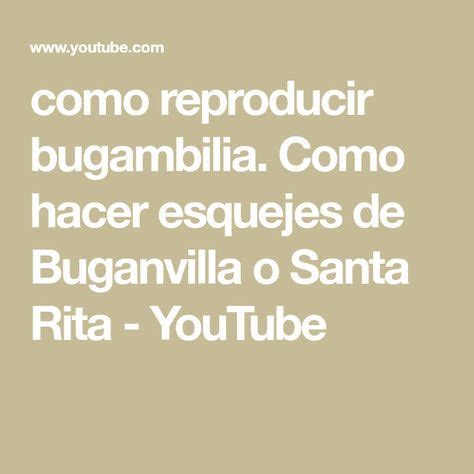 Como Reproducir Bugambilia Como Hacer Esquejes De Buganvilla O Santa