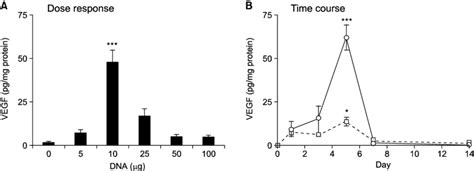 Dose Response And Time Course Of The Vegf Expression From The Naked Dna