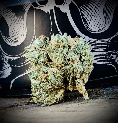 Triangle Kush Grow West - Maryland Cannabis Reviews