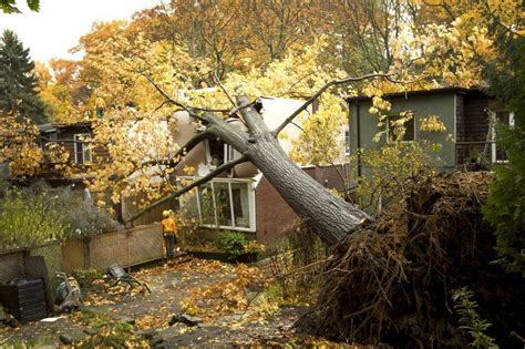 Photos: Storm damage in Toronto after Sandy hits East Coast - The Globe ...