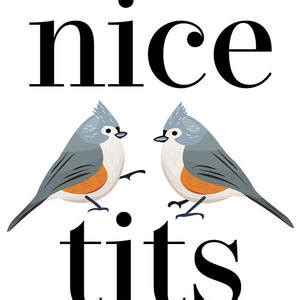 Nice Tits Tufted Titmouse Bird Watching Gift Funny Digital Art By P A