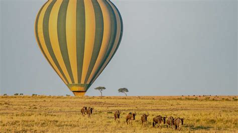 Hot Air Balloon Masai Mara Balloon Safari