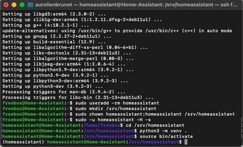 Comment installer le système domotique Home Assistant sur Freebox Delta 