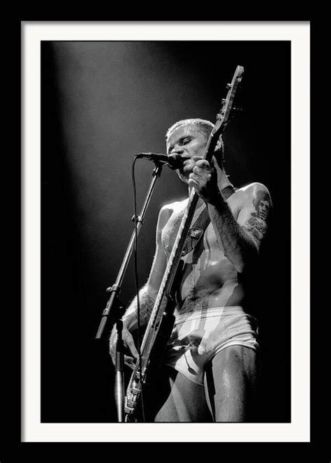 Flea In Underwear Red Hot Chili Peppers 1992 Lollapalooza Flea Of