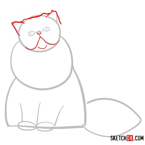 How To Draw The Persian Cat Sketchok Easy Drawing Guides