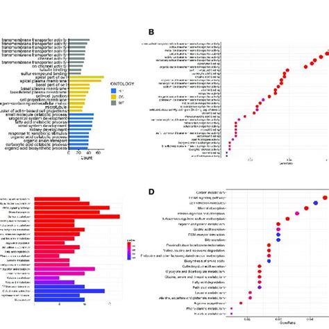 Bar Charts And Bubble Map Of GO And KEGG Pathway Analyses A GO