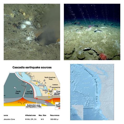 Researchers Find A Hole In The Pacific Ocean’s Depths