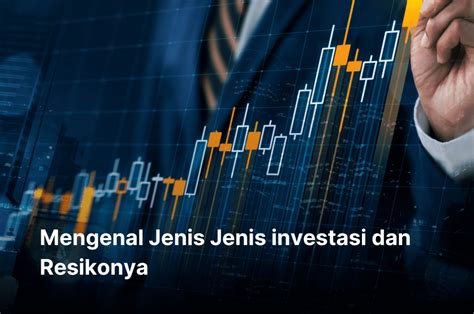 Mengenal Jenis Jenis Investasi Dan Resikonya