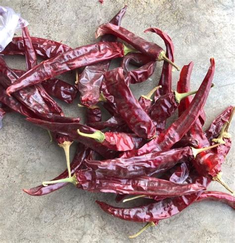 Wonder Hot Dry Red Chilli For Cooking Grade Standard Food Grade At