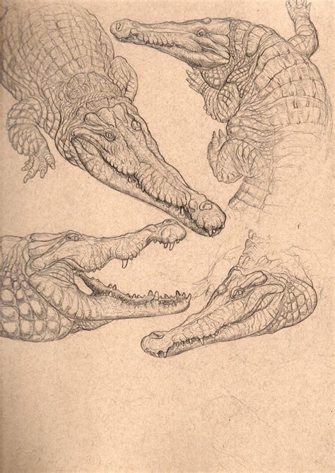 Manusuchus On Twitter Reposting Some Old Drawings That I Did For