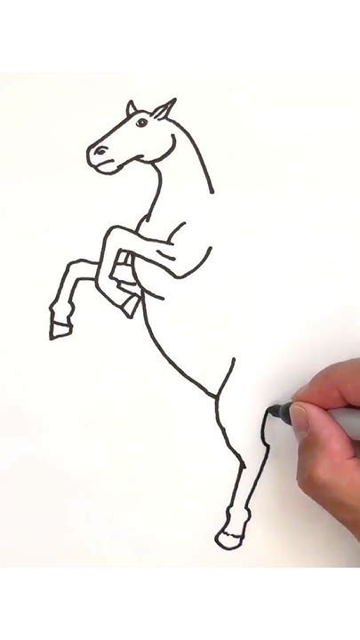 How To Draw A Horse Rearing Easy Shorts Youtube