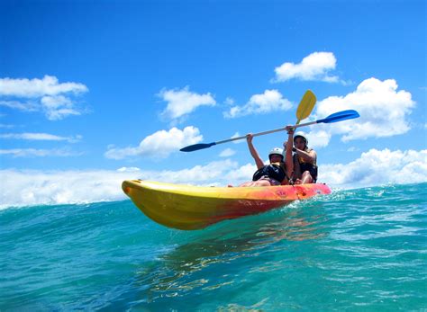 Byron Bay Kayak Tour with Dolphins and Wildlife in Byron Bay | Pelago