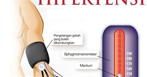 Obat Darah Tinggi Herbal | The Same Herbal