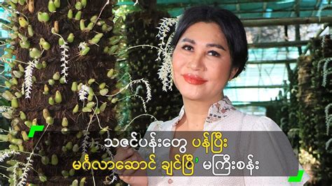 သဇင်ပန်းတွေ ပန်ပြီး မင်္ဂလာဆောင် ချင်ပြီ မကြီးစန်း Youtube