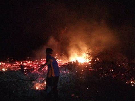 Respon Cepat Karhutla Bpbd Kobar Padamkan Kebakaran Lahan Di Desa