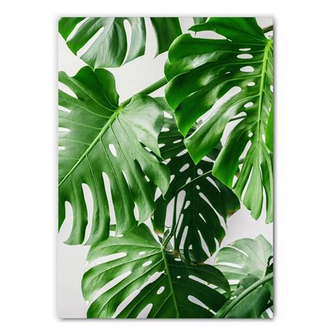 Large Monstera Leaves Print Set Of 2 With Free Uk Delivery