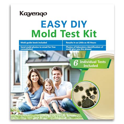 Mold Test Kit For Home 6 Simple Detection Tests Test HVAC System Home