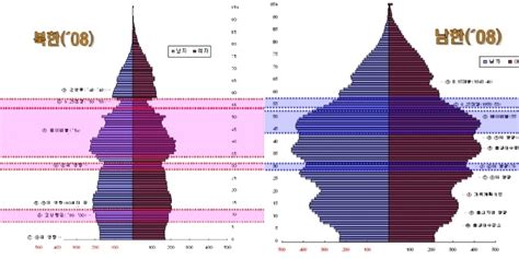 북한인구센서스 北인구 피라미드 남한과 어떻게 다를까 아주경제