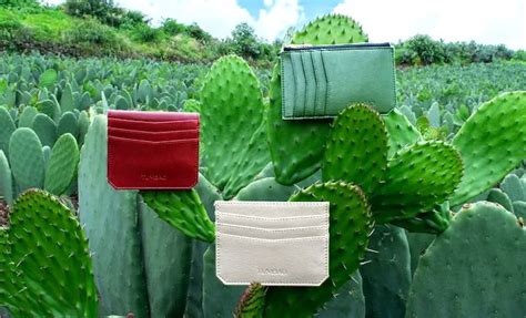 Take Part In Desserto S Cactus Vegan Leather Revolution