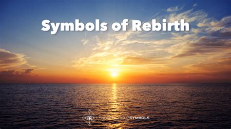 11 Potent Symbols of Rebirth: From Phoenix to Scarab Beetle