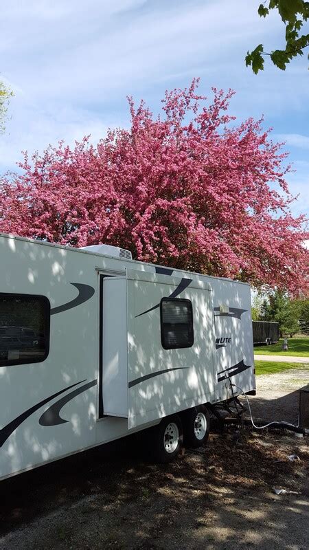 ENCHANTED SHORES RV PARK & CAMPGROUND - Home