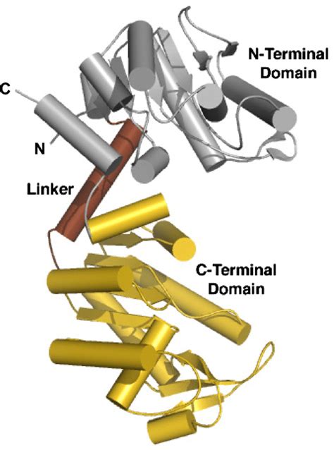 Crystal structure of E. coli phosphoglycerate kinase. This structure ...