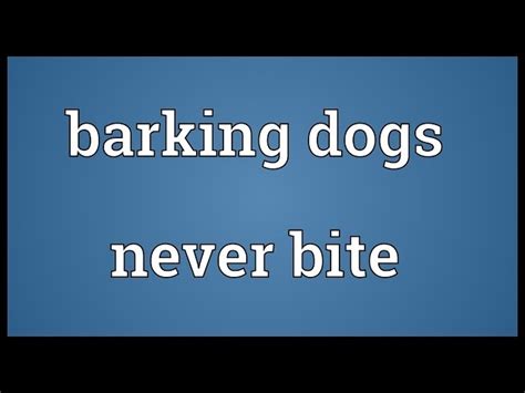 A Barking Dog Never Bites Proverb Meaning