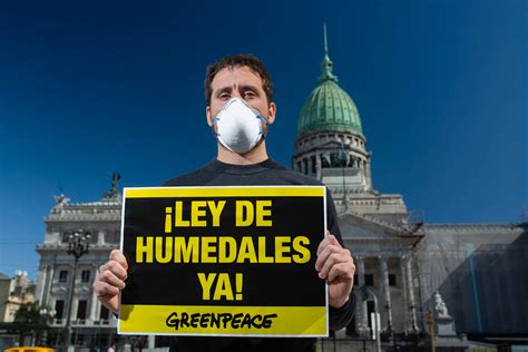 Fundaci N Greenpeace Argentina Greenpeace Los Humedales Est N En Una