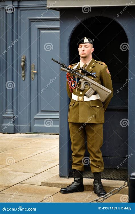 Grand Ducal Palace Guard editorial stock photo. Image of grand - 43371453