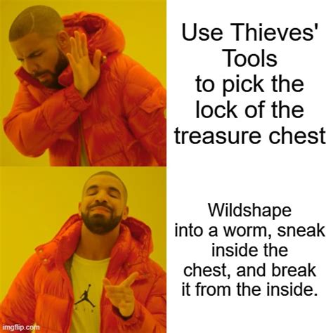 My Players Druidmonk Earned That Dm Inspiration Rdndmemes