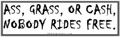 ASS GRASS OR CASH NOBODY RIDES FREE Humorous Bumper Sticker EBay
