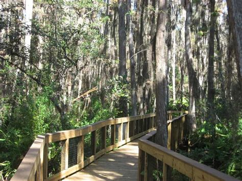 Loxahatchee National Wildlife Refuge: Wild spot to hike, kayak, bike