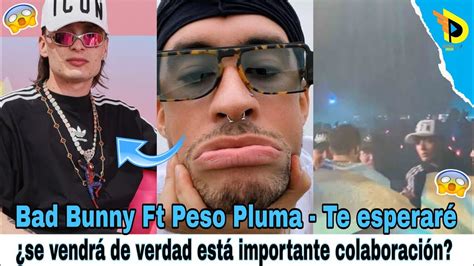 Bad Bunny Ft Peso Pluma Te esperaré se vendrá de verdad está