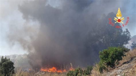 Catanzaro Vasto Incendio Di Vegetazione Nel Quartiere Santa Maria