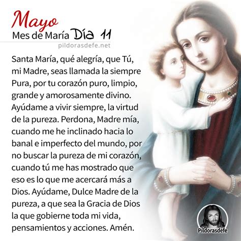 Mayo mes de María Día 11 Ser puros Bendita sea tu pureza