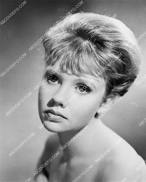 Beautiful Hayley Mills Portrait 1337 17 Abcdvdvideo