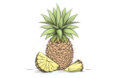 Pineapple Drawing. Hand Drawn Color Frui Graphic by vectortatu ...