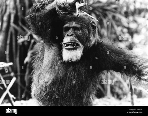 GREYSTOKE THE LEGEND OF TARZAN LORD OF THE APES Stock Photo 68020843