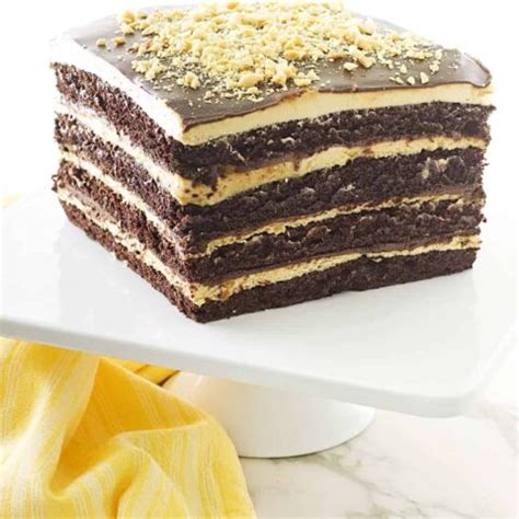 Chocolate Peanut Butter Cake Savor The Best