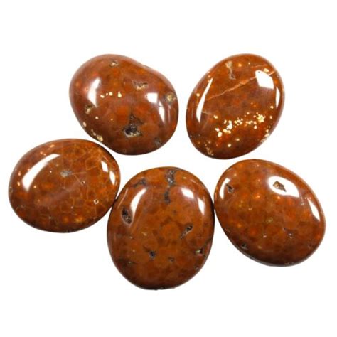 Five Natural Madagascar Orbicular Ocean Jasper Freeform Cabochons