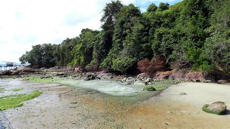 Adventures With The Naked Hermit Crabs