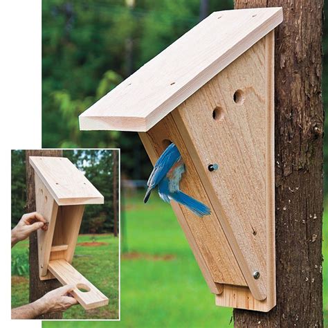 Peterson Bluebird Nest Box | Bird house, Bird house kits, Bird houses diy