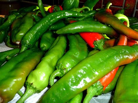 Frozen Chile – The Chili Guys | Lulu's Farm